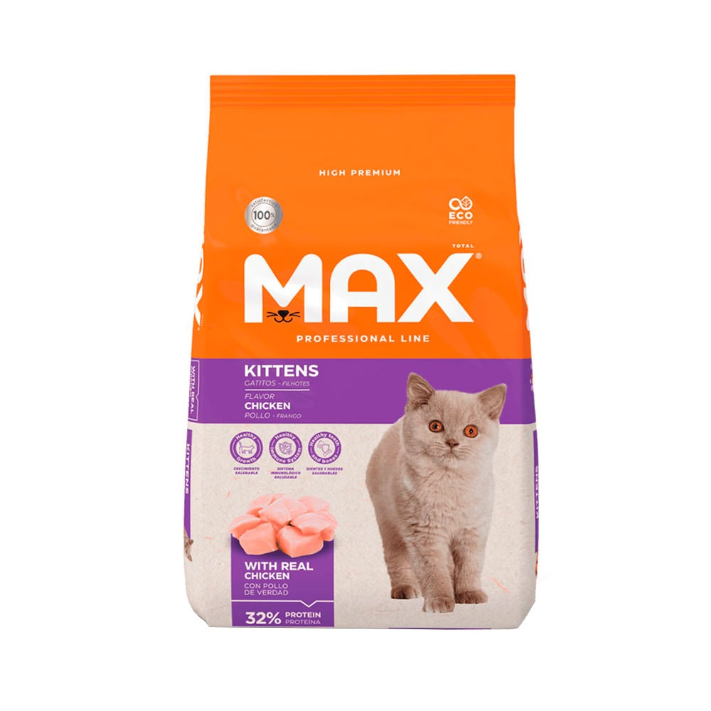 Max cat gatitos
